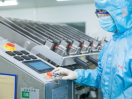 白花蛇舌草的特性及功效